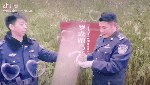 【今日傻鸮】民警及时救助 小猫头鹰安全“回家”
